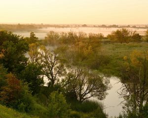 Preview wallpaper river, lowland, fog, trees