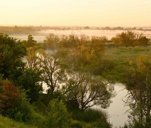 Preview wallpaper river, lowland, fog, trees