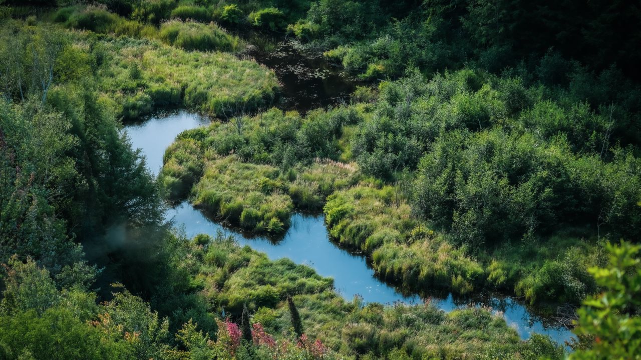 Wallpaper river, meadow, grass, landscape, aerial view