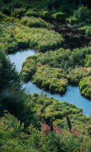 Preview wallpaper river, meadow, grass, landscape, aerial view