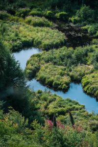 Preview wallpaper river, meadow, grass, landscape, aerial view