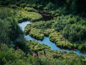 Preview wallpaper river, meadow, grass, landscape, aerial view