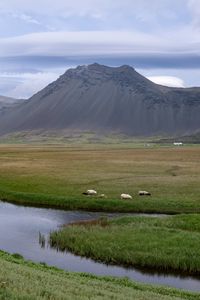 Preview wallpaper river, meadow, mountains, landscape, nature