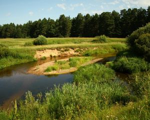 Preview wallpaper river, meadow, wood, island, glade, herbs, sand, sky, blue, water