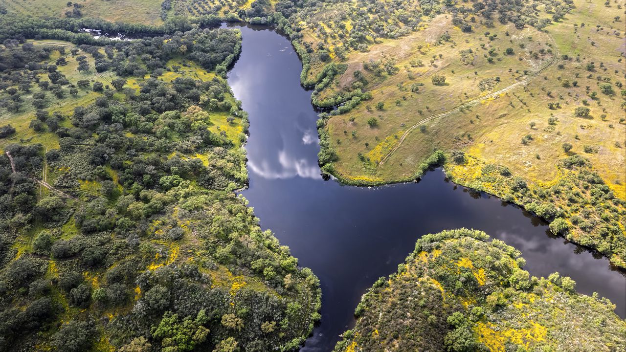 Wallpaper river, meadows, trees, nature, aerial view