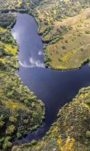 Preview wallpaper river, meadows, trees, nature, aerial view