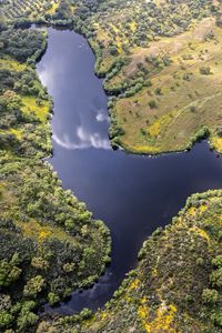 Preview wallpaper river, meadows, trees, nature, aerial view