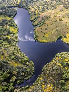 Preview wallpaper river, meadows, trees, nature, aerial view