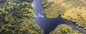 Preview wallpaper river, meadows, trees, nature, aerial view