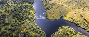 Preview wallpaper river, meadows, trees, nature, aerial view