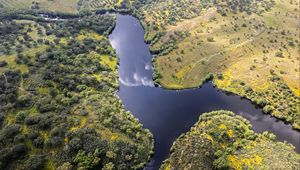 Preview wallpaper river, meadows, trees, nature, aerial view