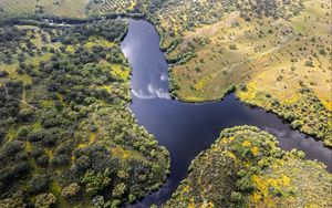 Preview wallpaper river, meadows, trees, nature, aerial view