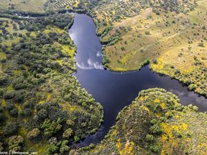 Preview wallpaper river, meadows, trees, nature, aerial view