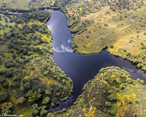 Preview wallpaper river, meadows, trees, nature, aerial view