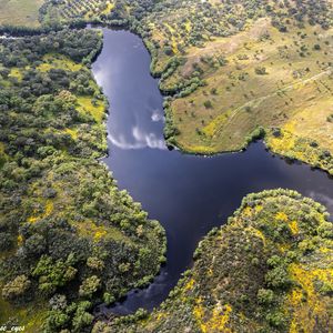 Preview wallpaper river, meadows, trees, nature, aerial view