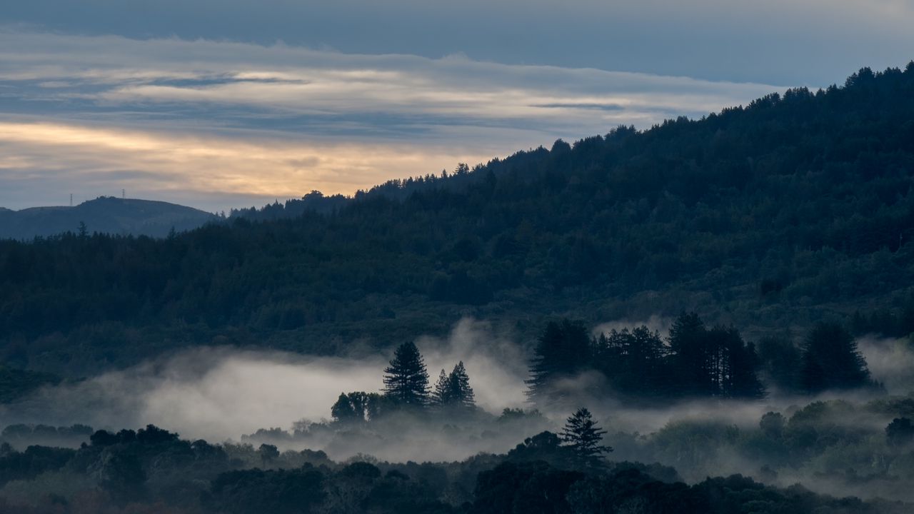 Wallpaper river, mountain, forest, fog, nature