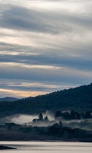 Preview wallpaper river, mountain, forest, fog, nature