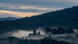 Preview wallpaper river, mountain, forest, fog, nature