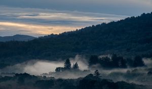 Preview wallpaper river, mountain, forest, fog, nature