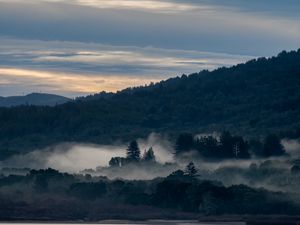 Preview wallpaper river, mountain, forest, fog, nature