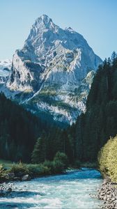 Preview wallpaper river, mountain, trees, landscape