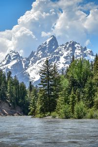 Preview wallpaper river, mountain, trees, landscape, nature