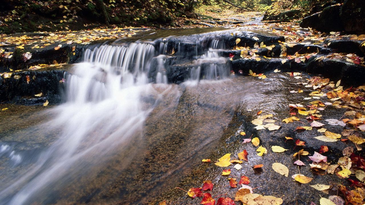 Wallpaper river, mountain, water, stream, leaves, autumn
