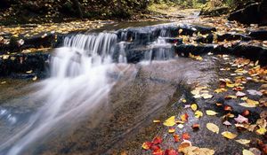 Preview wallpaper river, mountain, water, stream, leaves, autumn