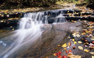 Preview wallpaper river, mountain, water, stream, leaves, autumn