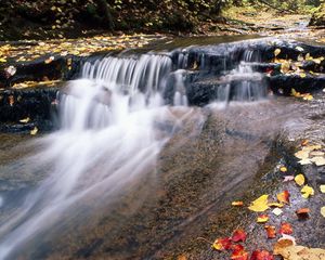 Preview wallpaper river, mountain, water, stream, leaves, autumn