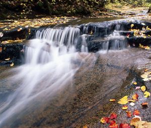 Preview wallpaper river, mountain, water, stream, leaves, autumn