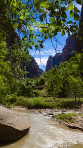 Preview wallpaper river, mountains, branches, stones, trees
