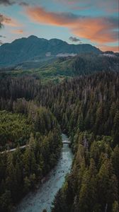 Preview wallpaper river, mountains, bridge, trees, spruce, forest