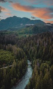 Preview wallpaper river, mountains, bridge, trees, spruce, forest
