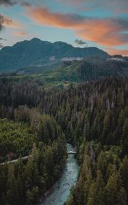 Preview wallpaper river, mountains, bridge, trees, spruce, forest