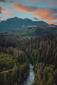 Preview wallpaper river, mountains, bridge, trees, spruce, forest