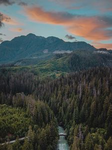 Preview wallpaper river, mountains, bridge, trees, spruce, forest