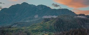 Preview wallpaper river, mountains, bridge, trees, spruce, forest