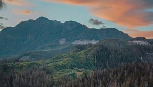 Preview wallpaper river, mountains, bridge, trees, spruce, forest