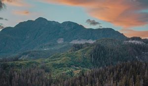 Preview wallpaper river, mountains, bridge, trees, spruce, forest