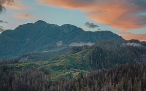 Preview wallpaper river, mountains, bridge, trees, spruce, forest