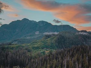 Preview wallpaper river, mountains, bridge, trees, spruce, forest