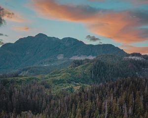 Preview wallpaper river, mountains, bridge, trees, spruce, forest