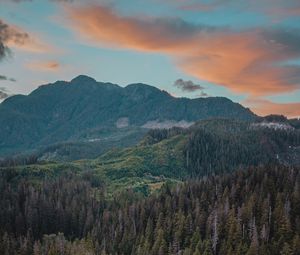 Preview wallpaper river, mountains, bridge, trees, spruce, forest