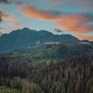 Preview wallpaper river, mountains, bridge, trees, spruce, forest