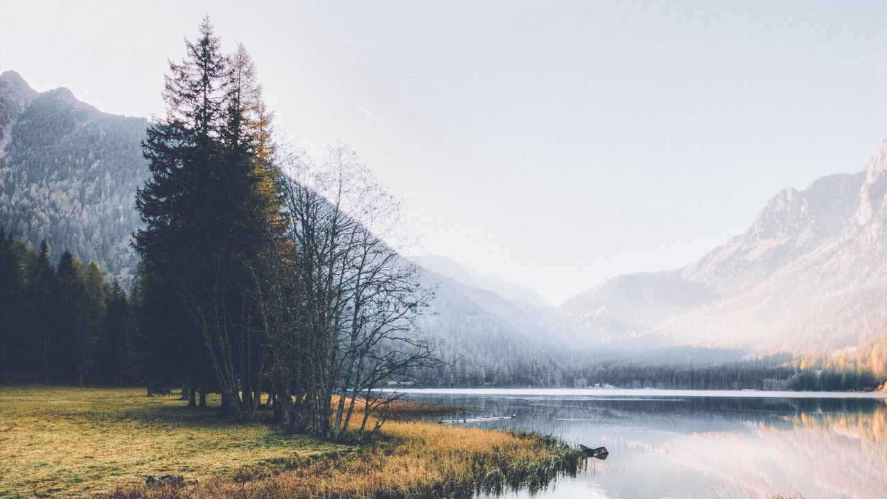 Wallpaper river, mountains, fog, trees, nature