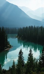 Preview wallpaper river, mountains, forest, fog, landscape
