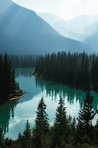 Preview wallpaper river, mountains, forest, fog, landscape