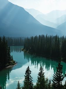 Preview wallpaper river, mountains, forest, fog, landscape