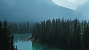 Preview wallpaper river, mountains, forest, fog, landscape